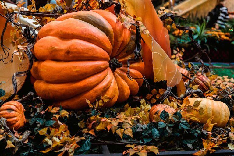 Samhain, fiesta celta que da origen a Halloween