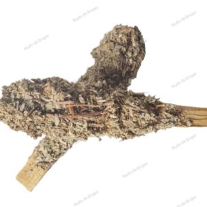 comprar palo santo con salvia blanca