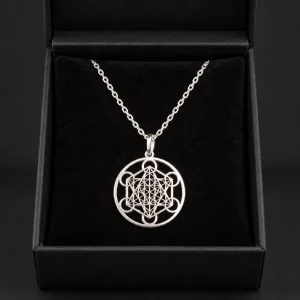 Colgante circular calado Cubo de Metatrón de plata de ley con cadena en una caja negra.